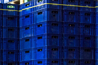 blue crates stacked on pallets in a cold storage facility